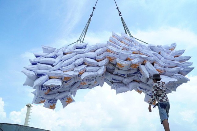 'Ông trùm' lúa gạo phía Nam vừa trúng thầu 100.000 tấn xuất Indonesia- Ảnh 1. 'Ông trùm' lúa gạo phía Nam vừa trúng thầu 100.000 tấn xuất Indonesia- Ảnh 1.